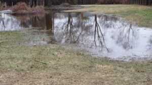 A backyard is flooded by pooling water from a clogged drain field.